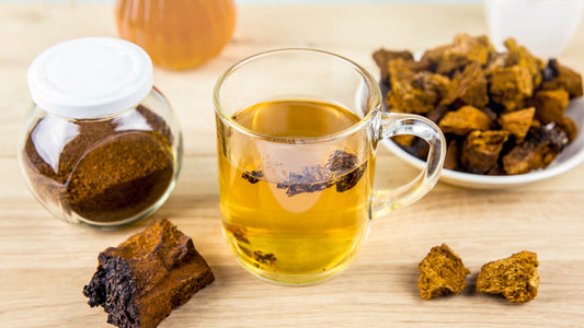 Chaga Benefits: Everyday Immune Support You Can Trust