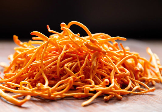 Cordyceps for Energy: A Natural Boost That Works