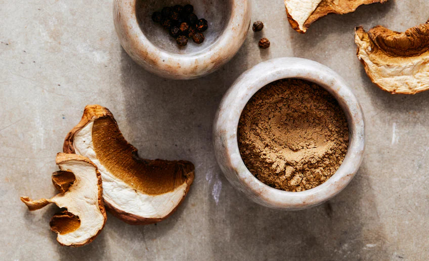 Mushroom Supplement Myths: 4 Things Most People Get Wrong
