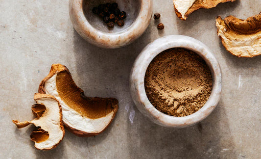 Mushroom Supplement Myths: 4 Things Most People Get Wrong