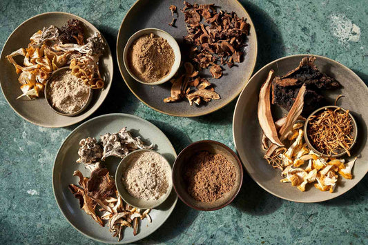 Why Add Mushrooms to Your Daily Routine? Simple Benefits Explained.