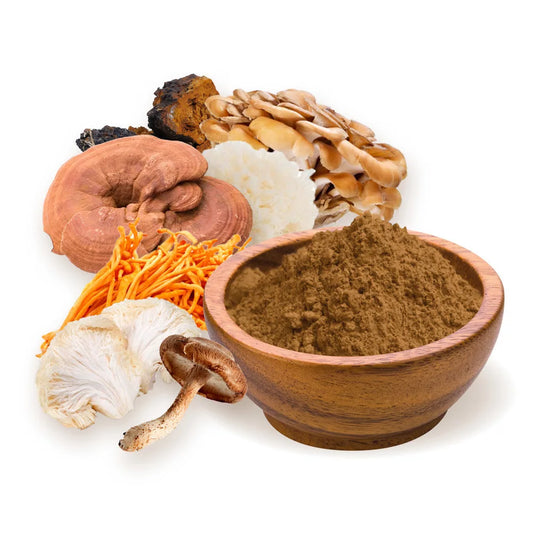 Functional Mushrooms: What Science Really Says