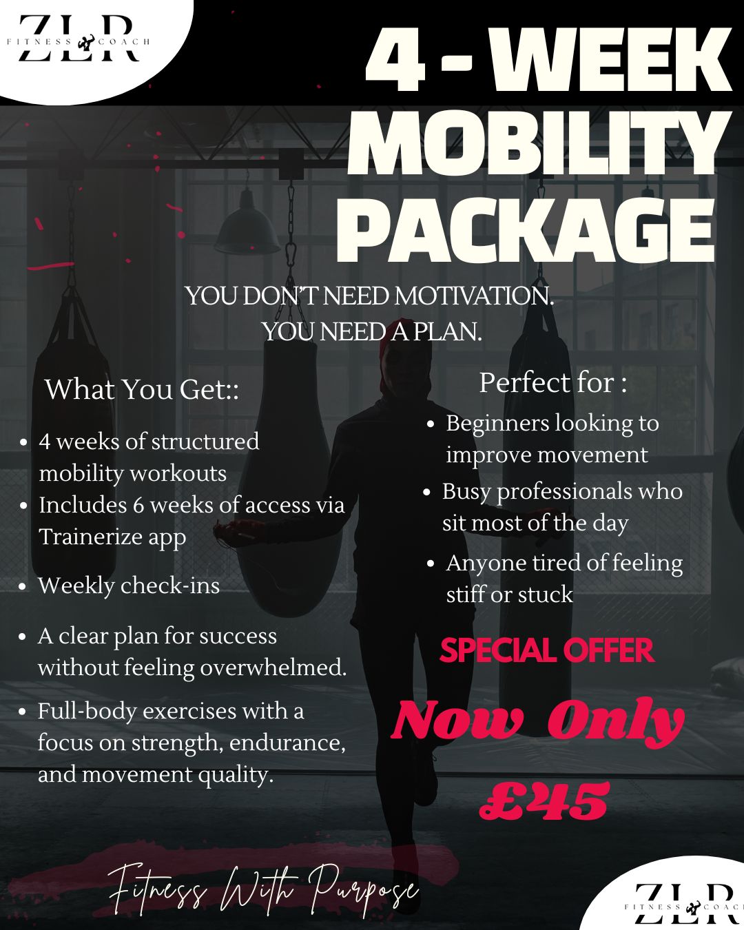 4-Week Mobility Reset Program (Trainerize Access)