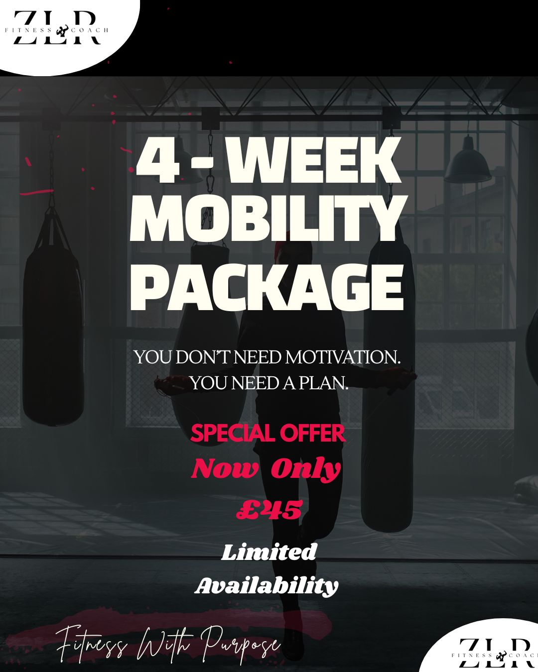 4-Week Mobility Reset Program (Trainerize Access)