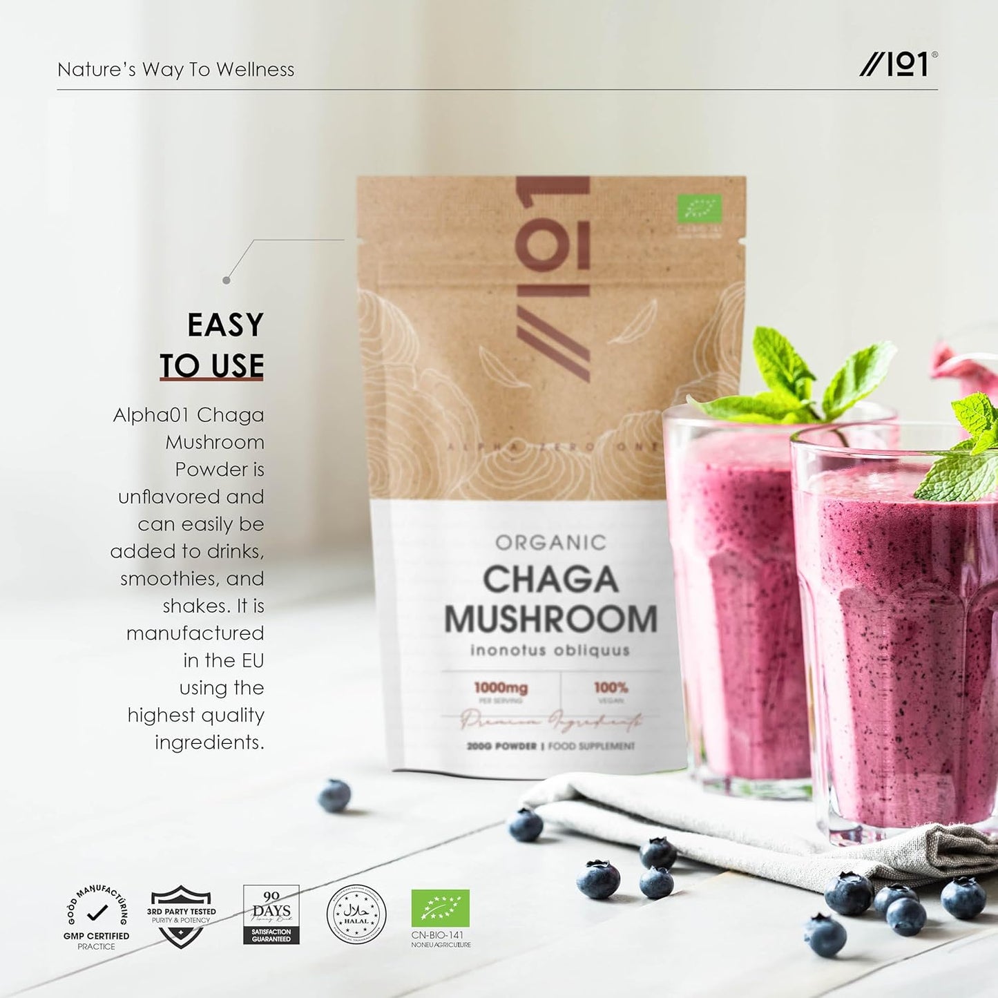 Chaga Mushroom Powder - 200g